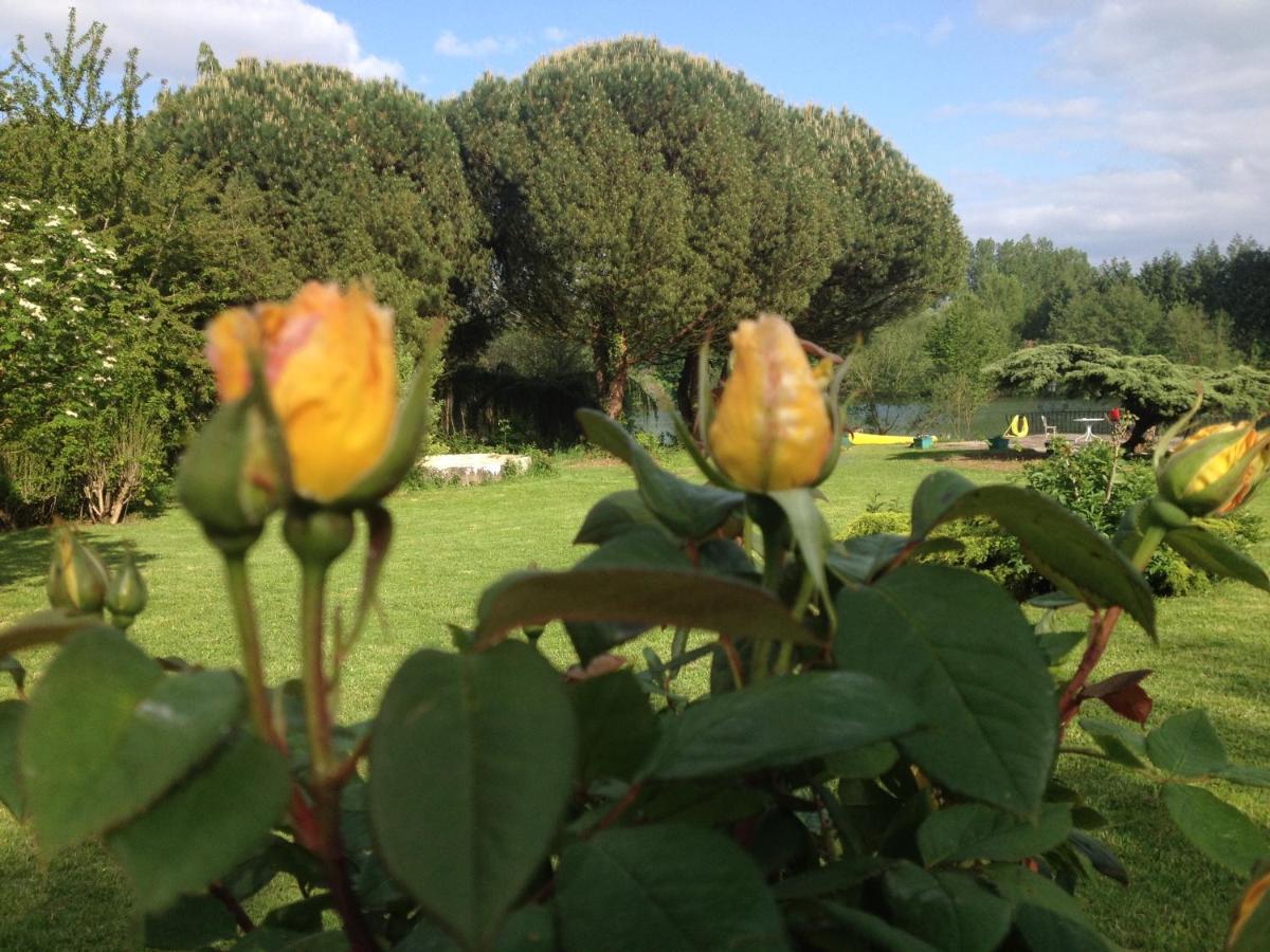 Bed & Breakfast La Maison Du *